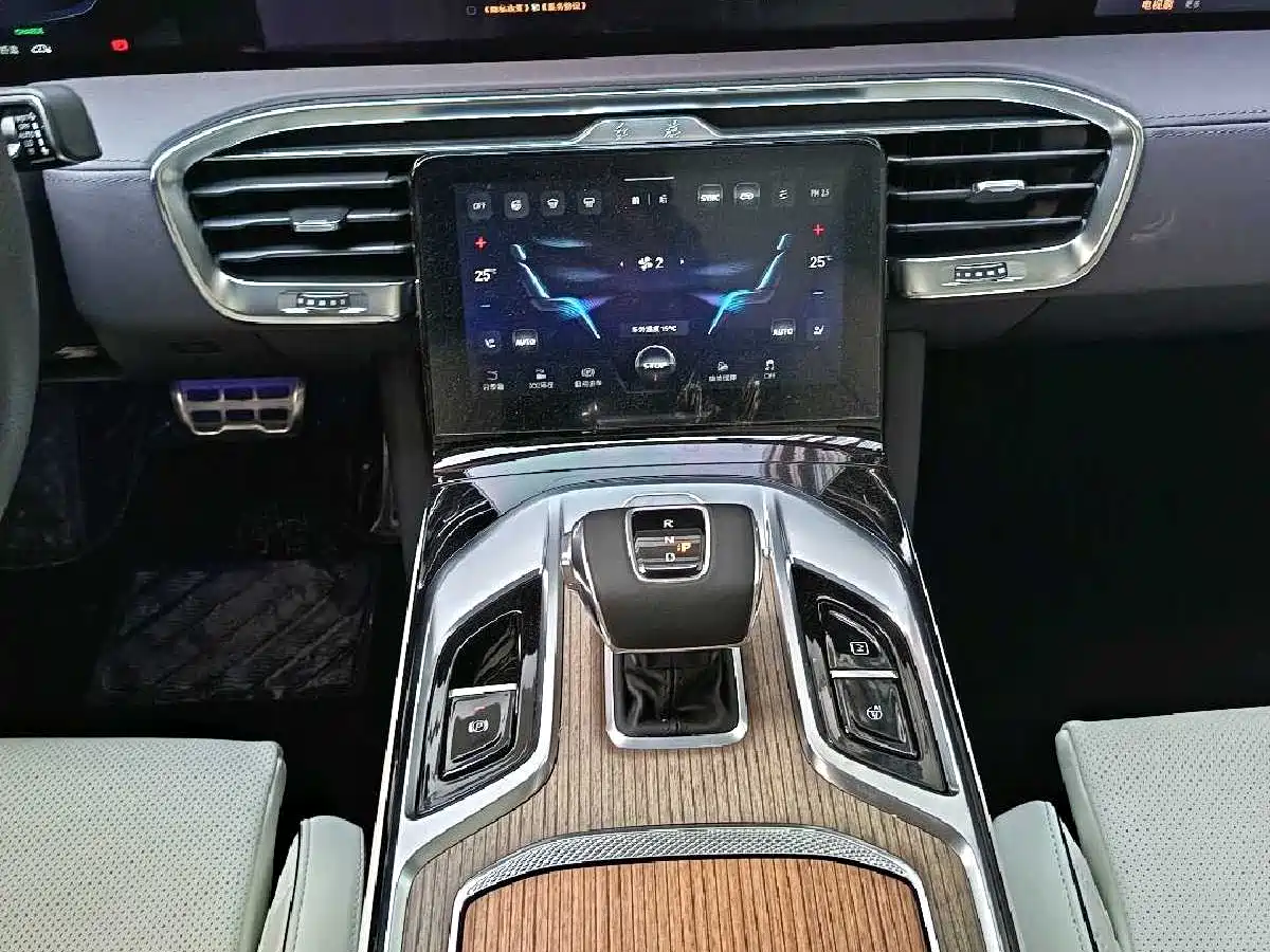 Hongqi E-HS9 2022 660km Qi Ling Edition (4-seater) фото 22