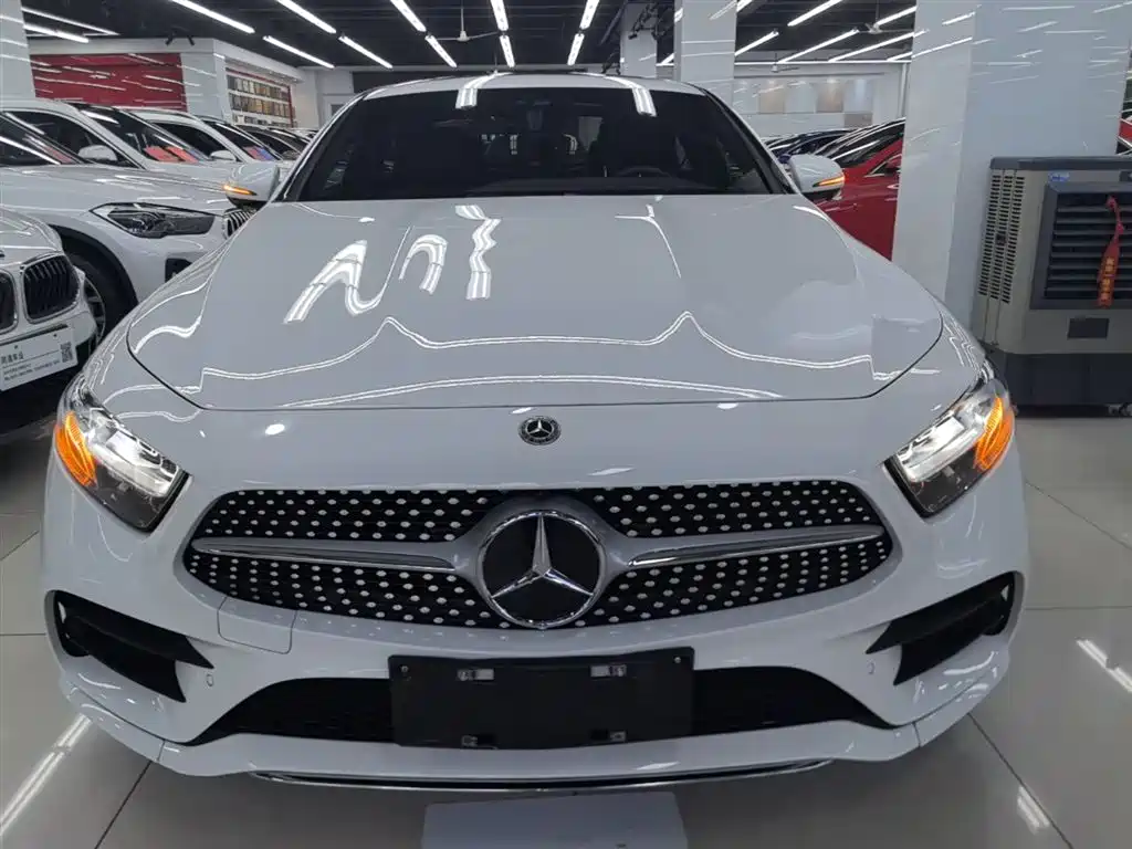 Mercedes-Benz CLS 2021 CLS 300 Luxury фото 3