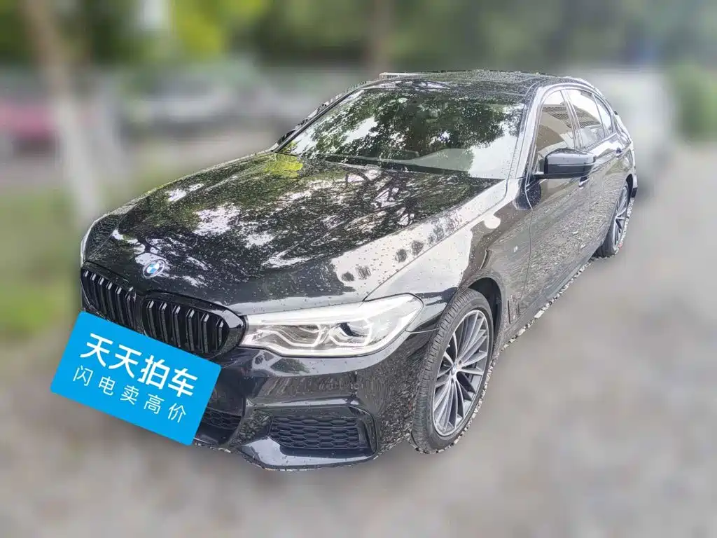 BMW BMW 5 Series 2020 530Li Leading M Sport Package