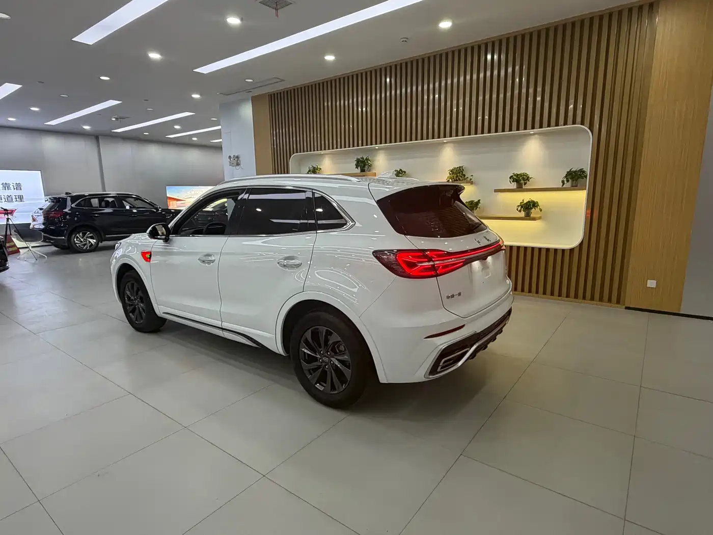 Hongqi HS5 2023 2.0T Flag Enjoy Pro Edition фото 13