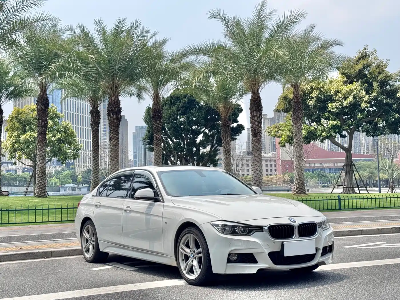 BMW 3 Series 2018 320Li Leading M Sport Package фото 3