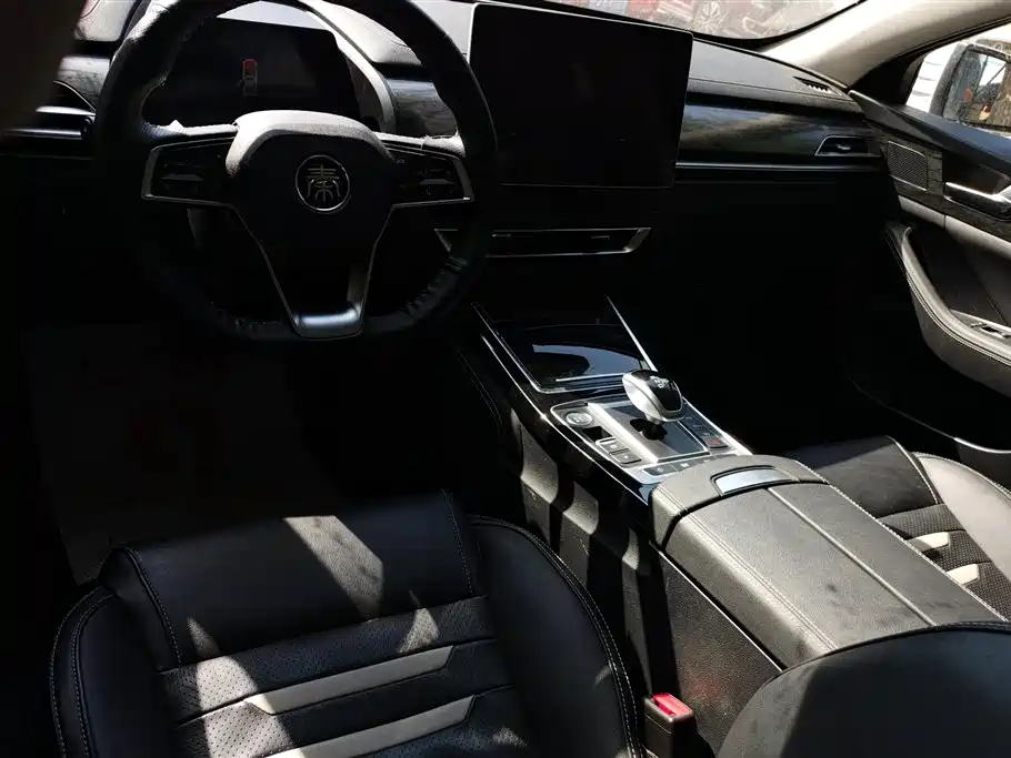 BYD Qin Pro New Energy 2019 EV Super Edition High Power Long Range Smart Connected Pioneer Type фото 12
