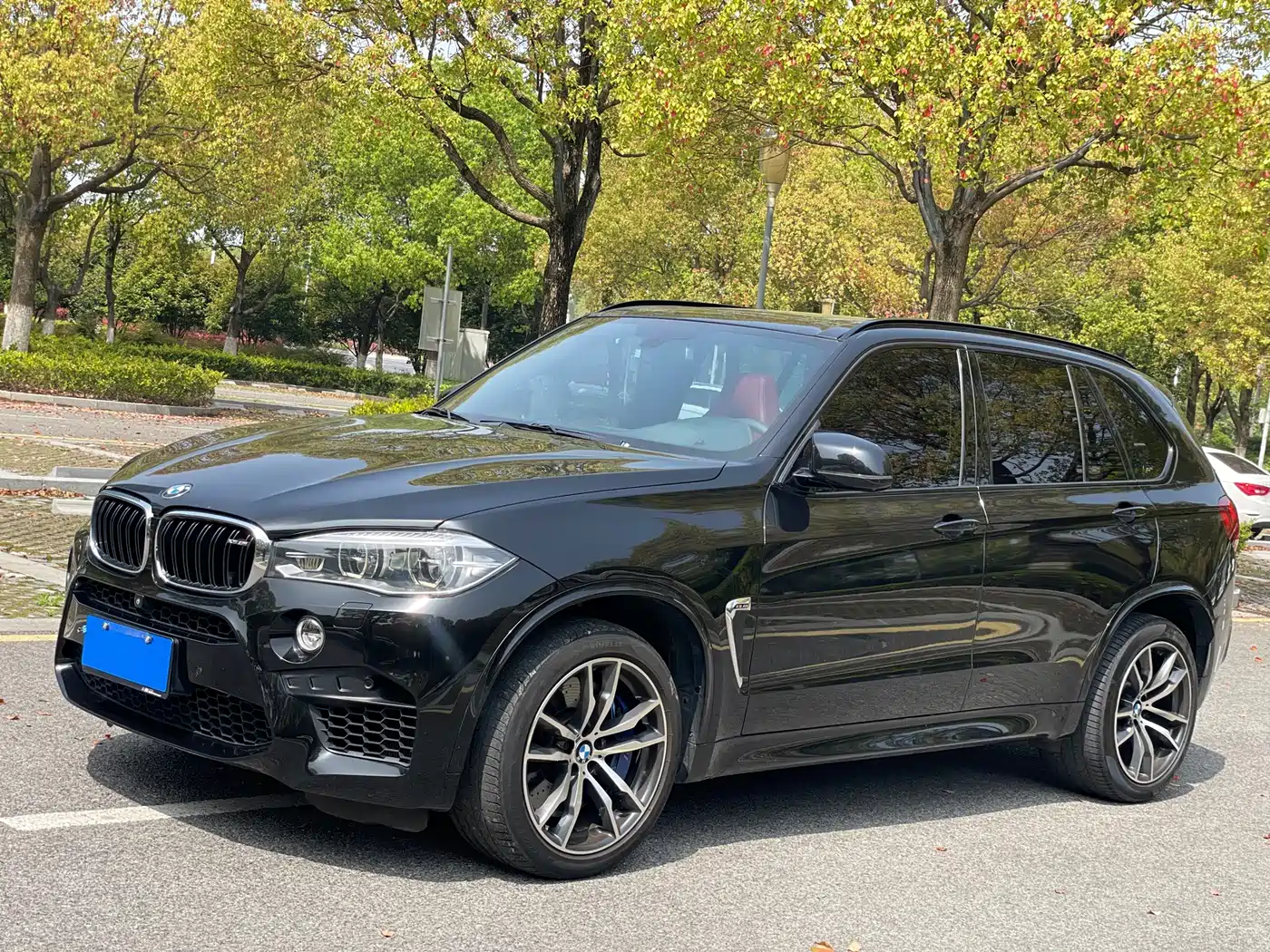 BMW X5 M 2013 X5 M