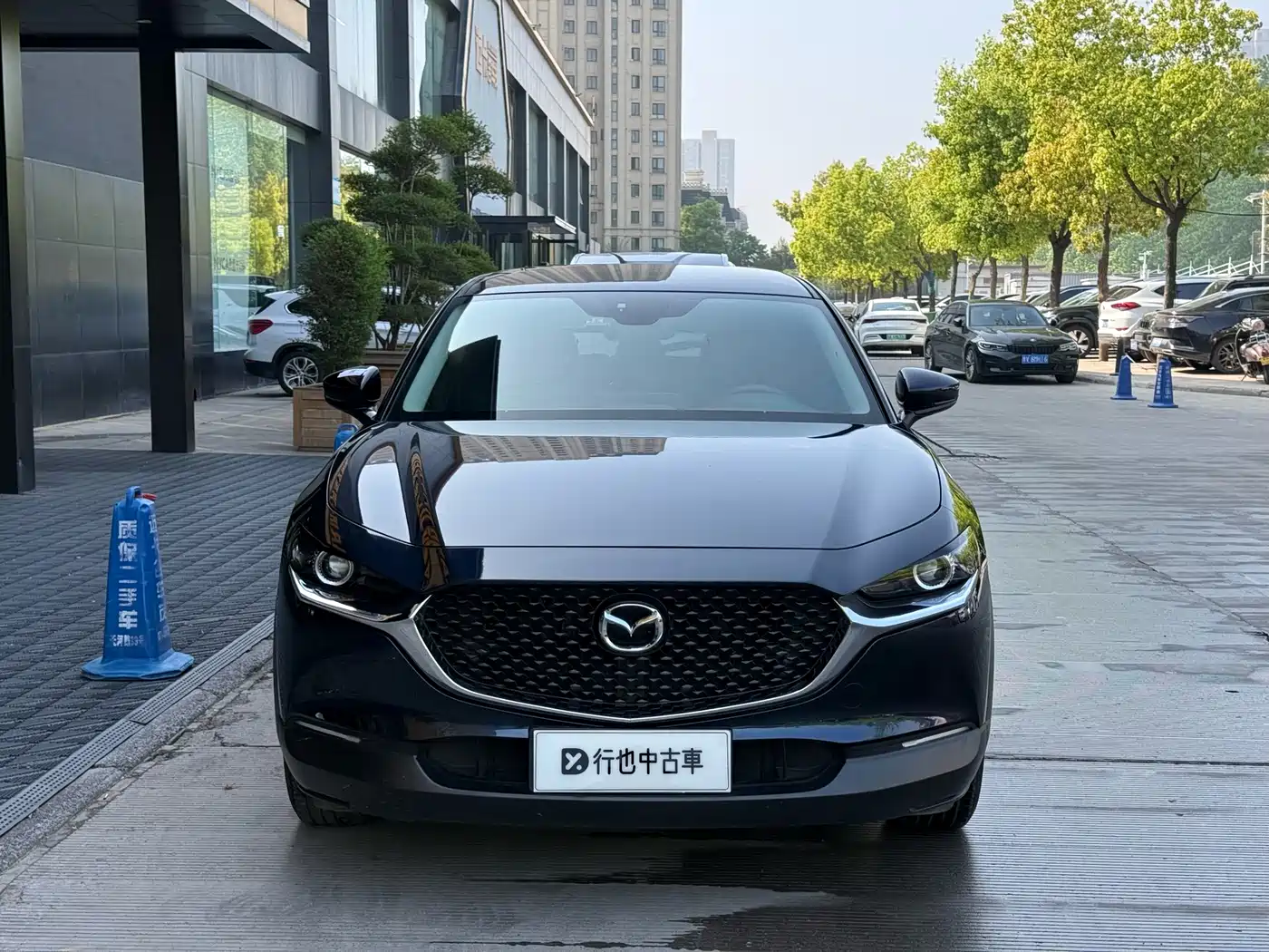  CX 30