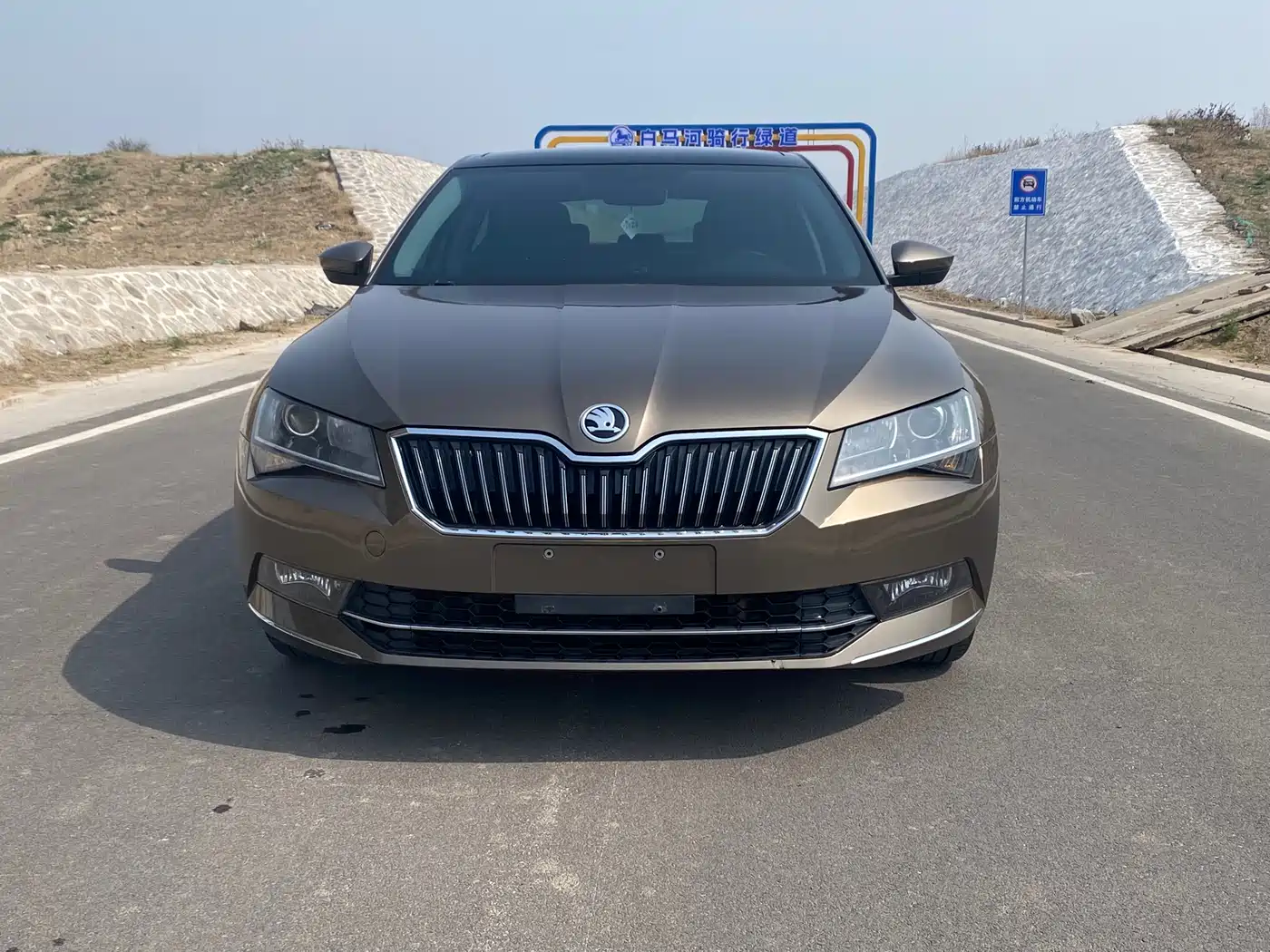 Škoda Superb 2018 TSI280 DSG Comfort (China V) фото 2