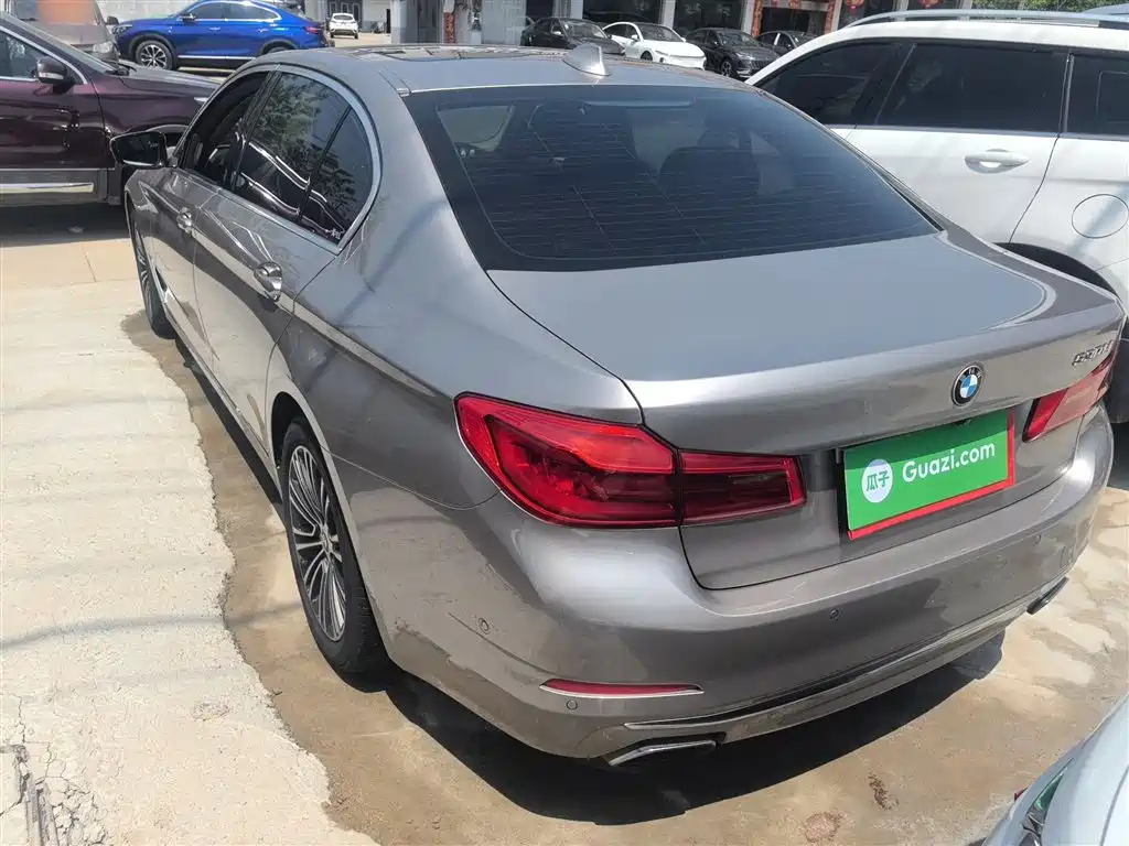 BMW 5 Series 2019 530Li Premium Luxury Package фото 23