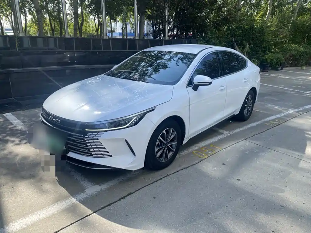 BYD Destroyer 05 2023 2023 Champion Edition DM-i 55KM Luxury