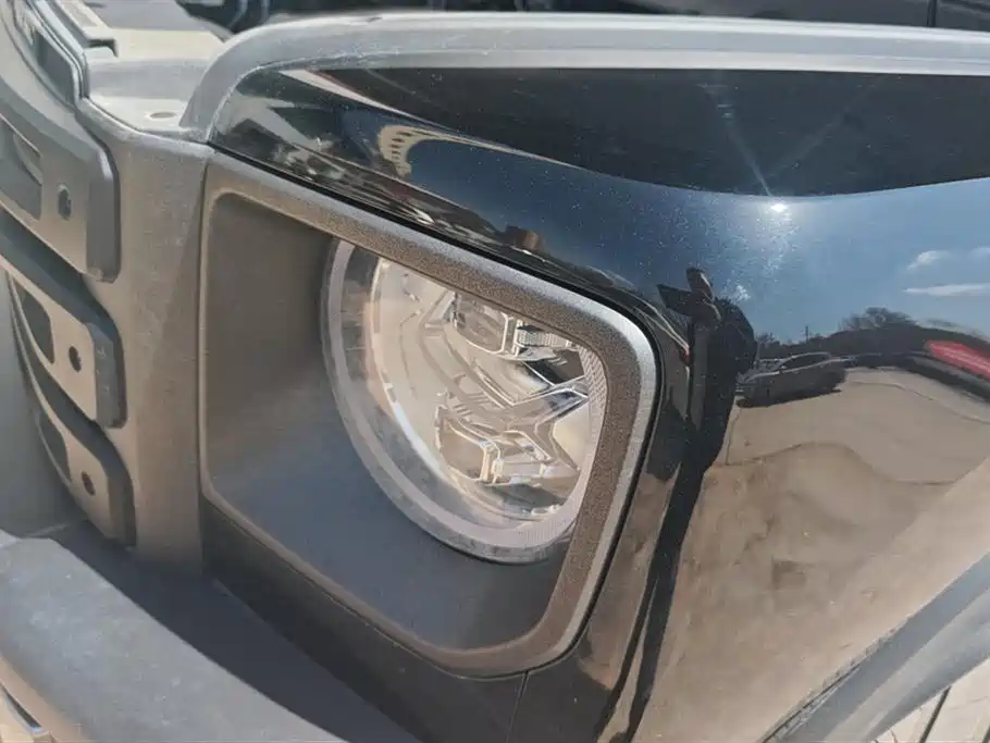 HAVAL RAPTORS NEW ENERGY