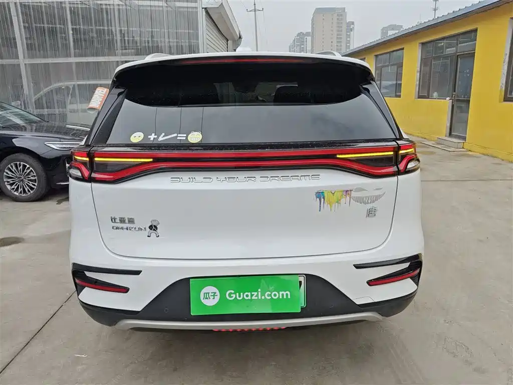 BYD Tang New Energy 2021 DM-i 112KM Honor фото 4