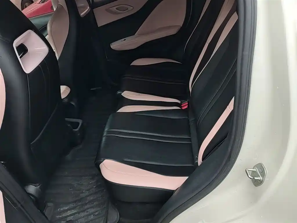 BYD Seagull 2023 Freedom Edition фото 17