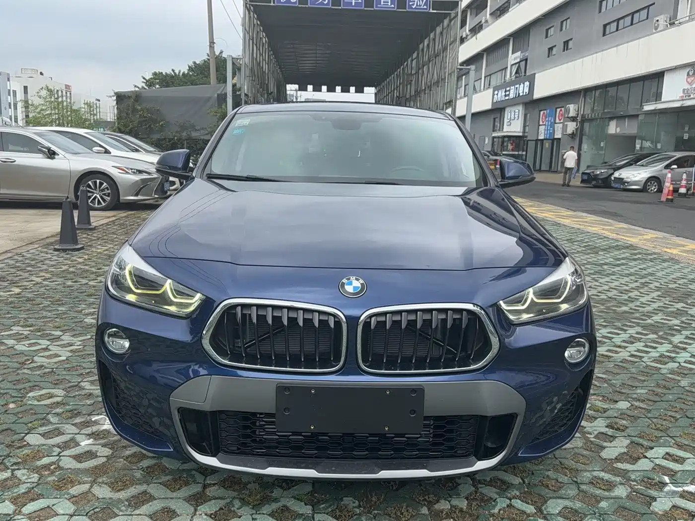 BMW X2 (Import) 2019 2019 sDrive25i Leading M Off-Road Package China VI