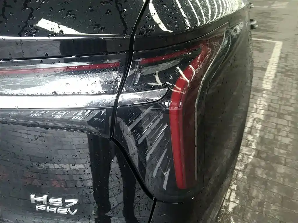 Hongqi HS7 PHEV 2024 2.0T PHEV 4WD Flagship Edition 6-seater фото 8