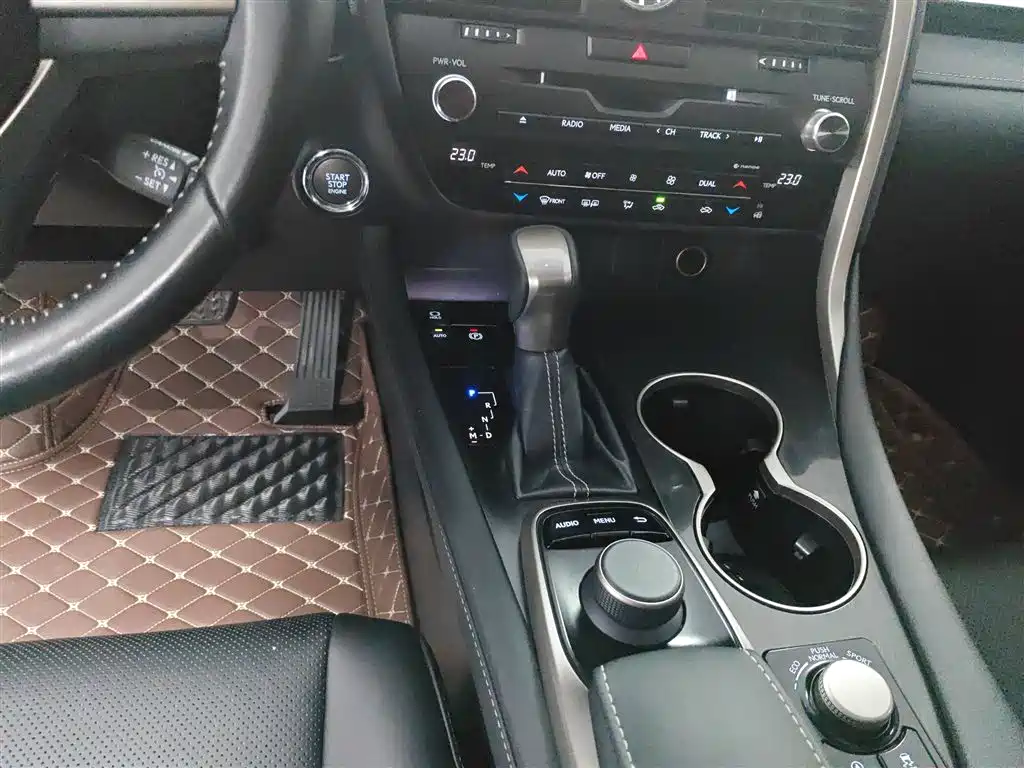 LEXUS RX