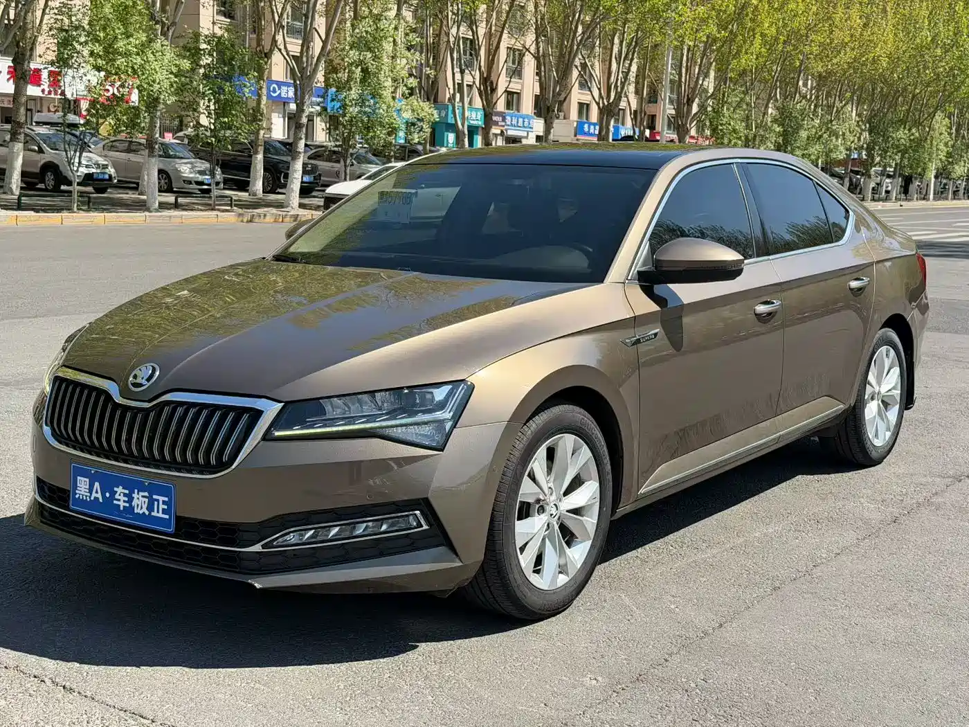 Škoda Superb 2019 TSI330 DSG Comfort Edition фото 3