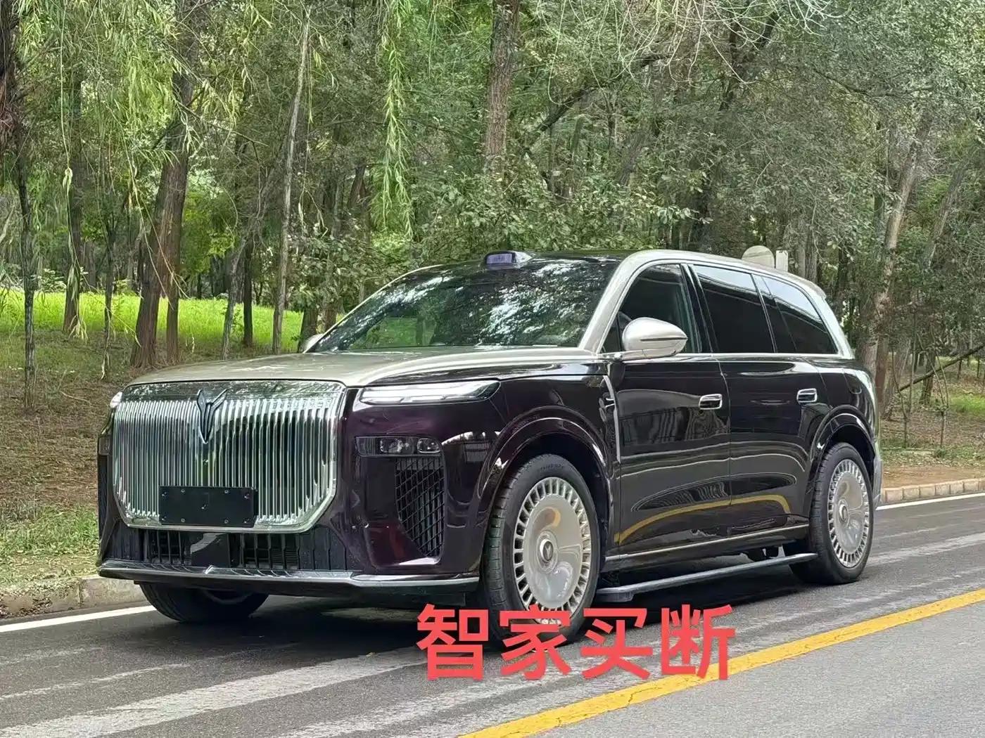 Voyah Auto VOYAH Taisan