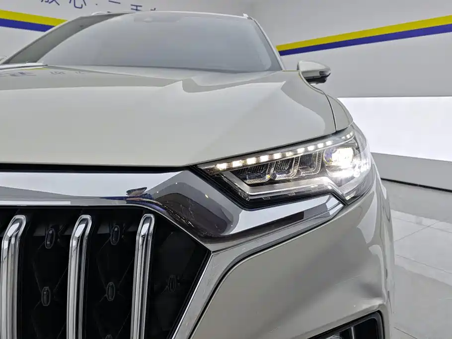 صورة 5 - Hongqi HS5