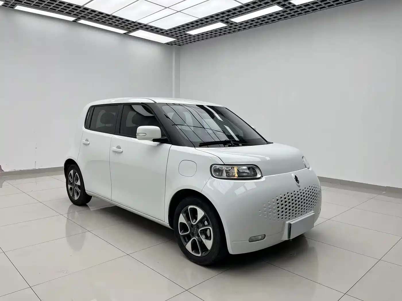 Ora White Cat 2021 2020 305km Luxury