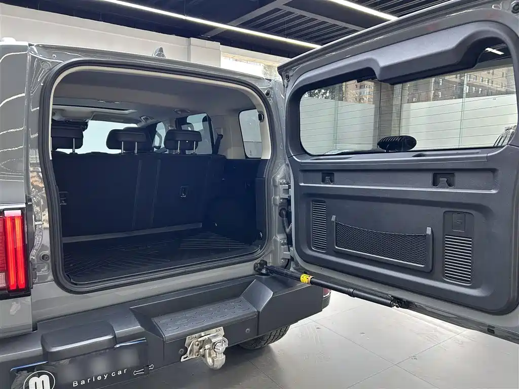 Tank 300 2021 Off-road Version 2.0T Conqueror фото 19