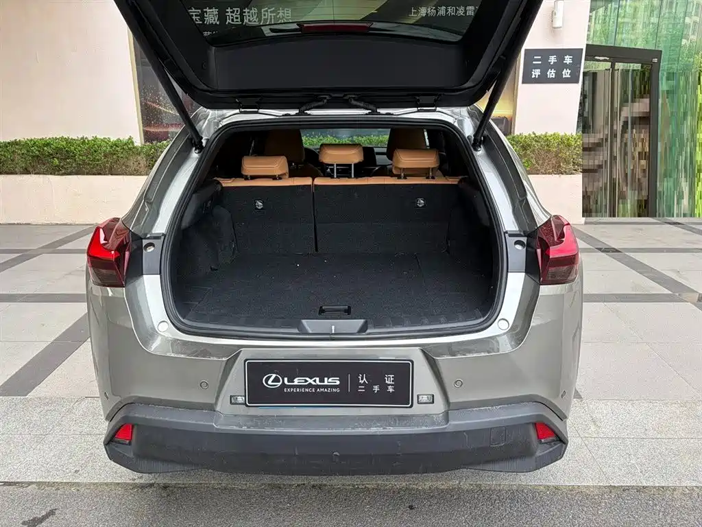 Lexus UX 2024 2024 300h Fun Explorer Edition