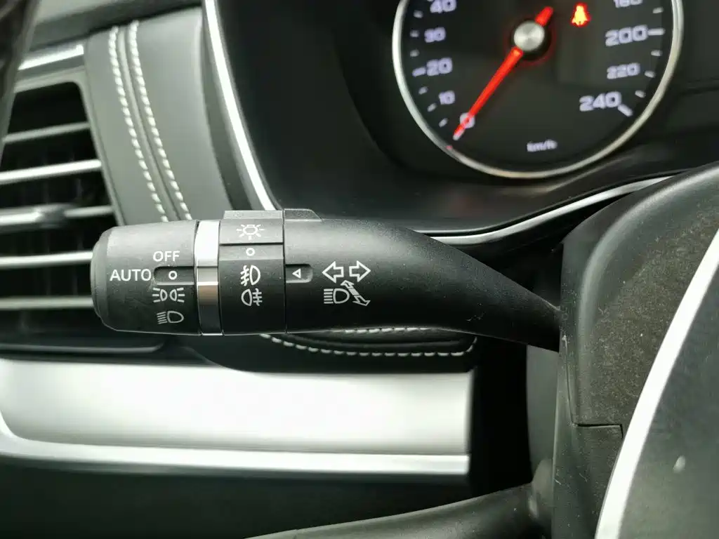 Фото 21 - Roewe RX8