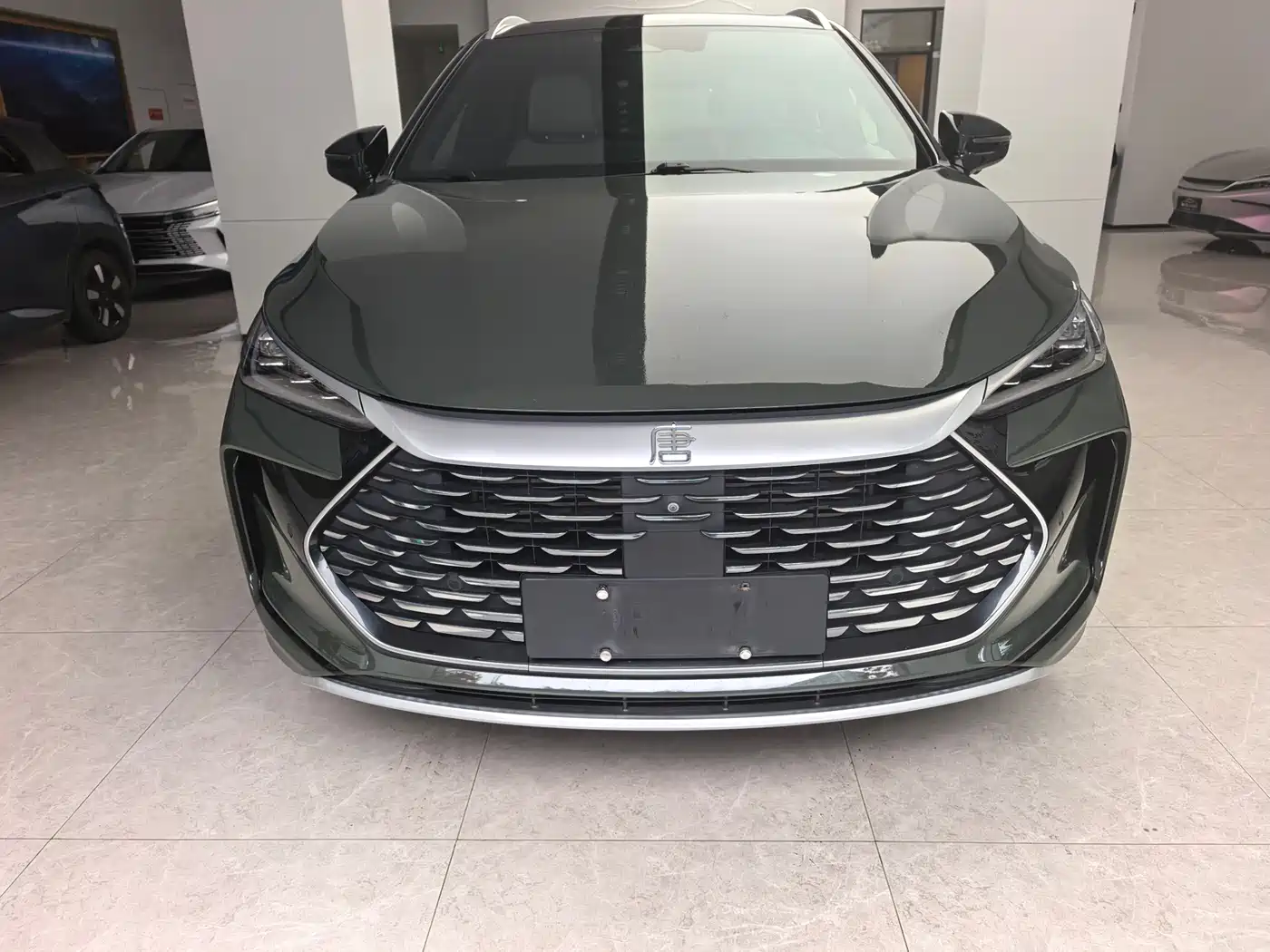 BYD Tang New Energy 2022 DM-p 215KM AWD Flagship фото 2