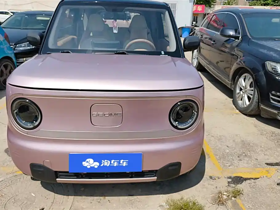 Geely Galaxy Panda 2023 Panda Mini 200km Lively Bear фото 2