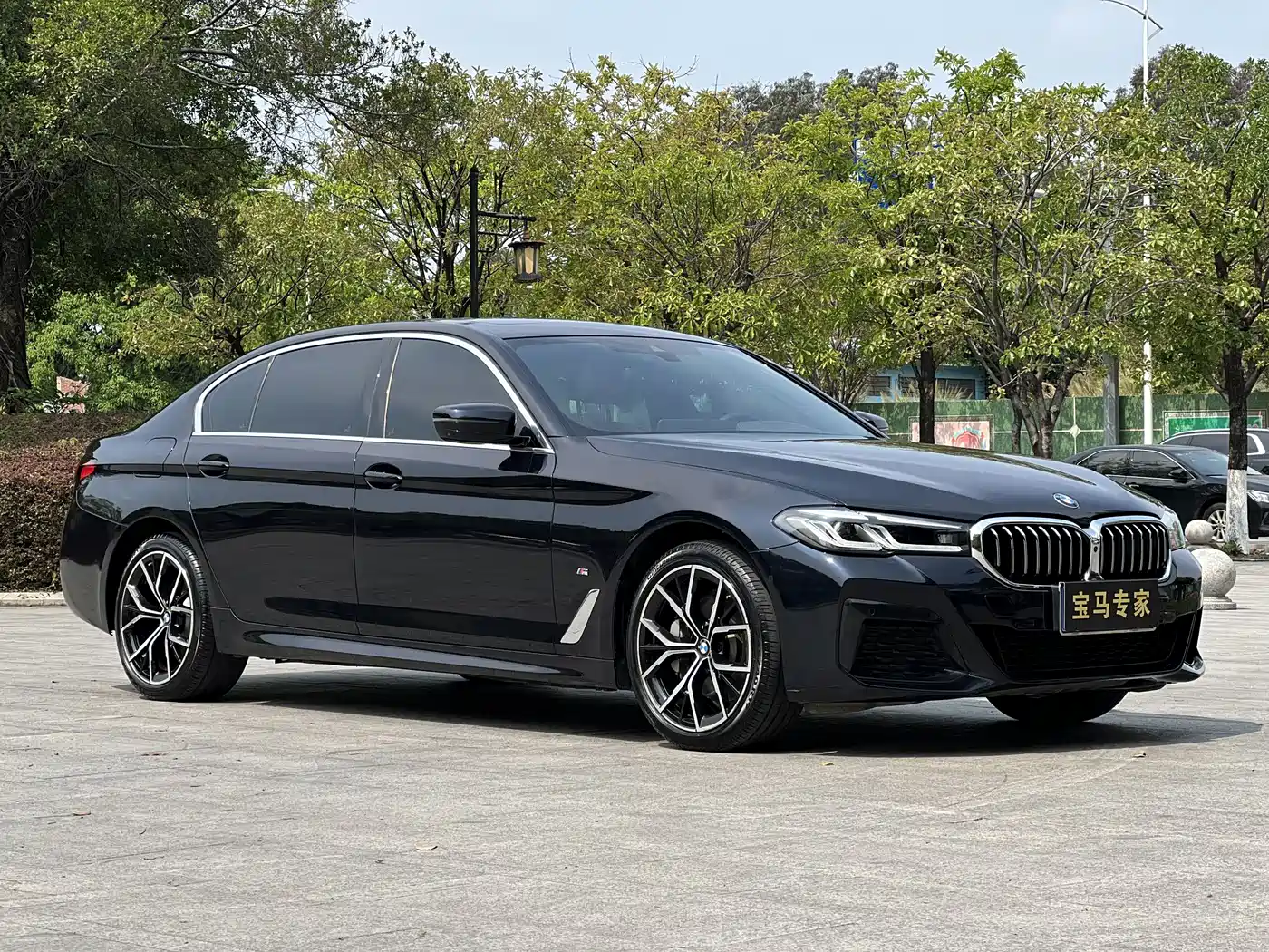 BMW 5 SERIES