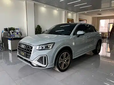 Audi Q2L