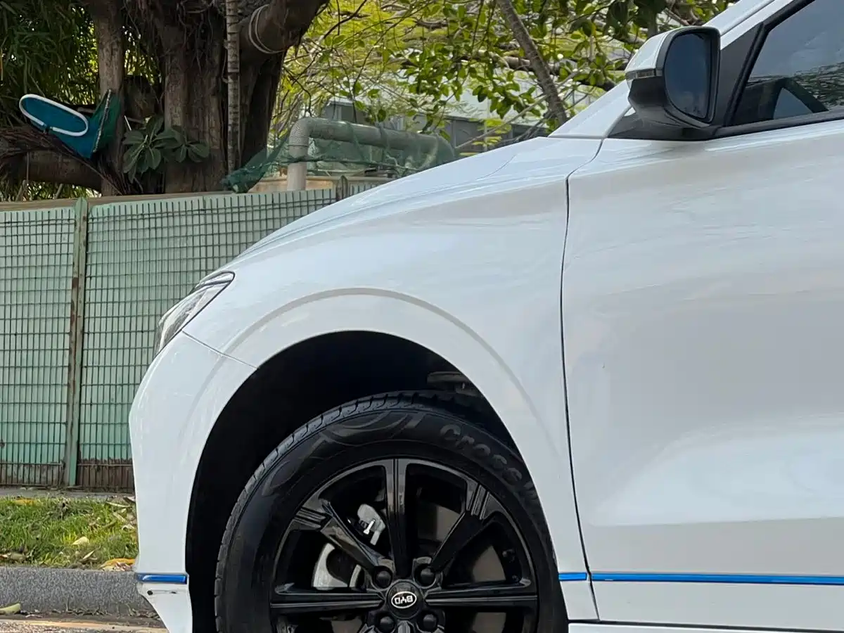 BYD e2 2020 2020 Upgraded Long Range Luxury