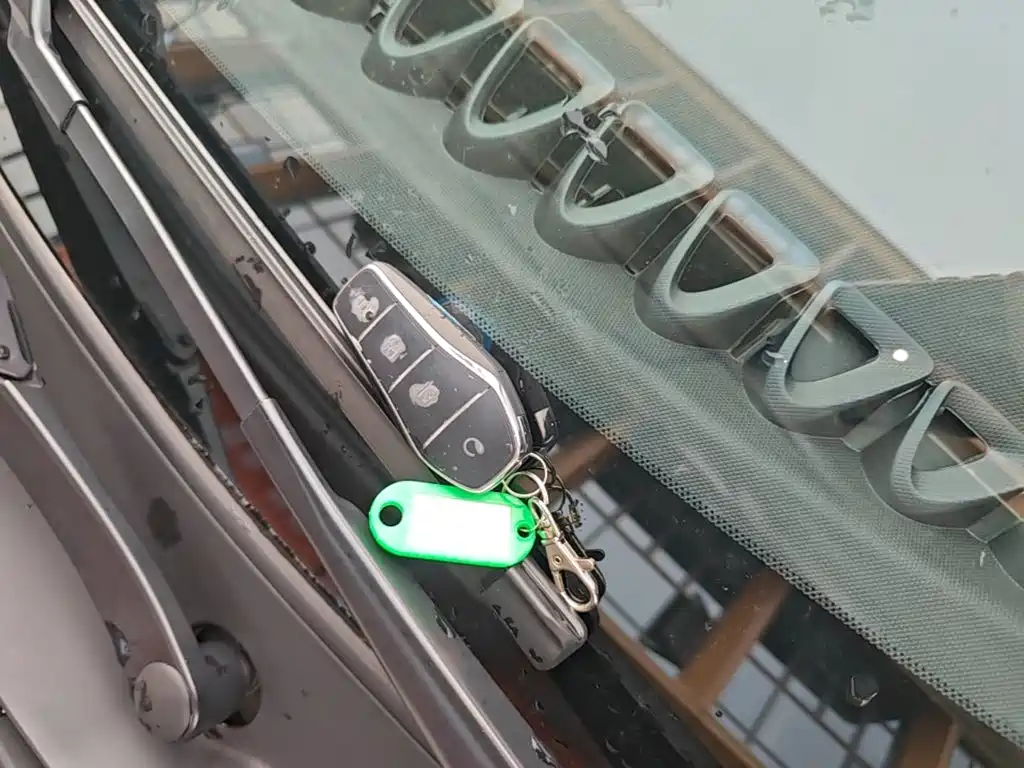 BYD Dolphin 2026 2025 420km Freedom Edition