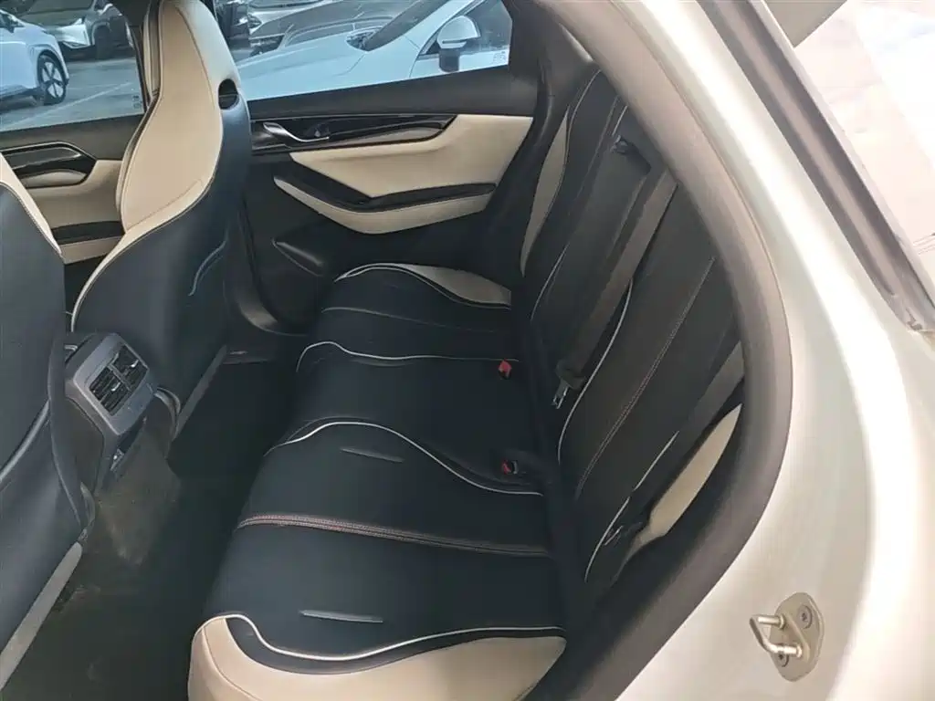 BYD Qin PLUS 2021 EV 500KM Luxury Model фото 17