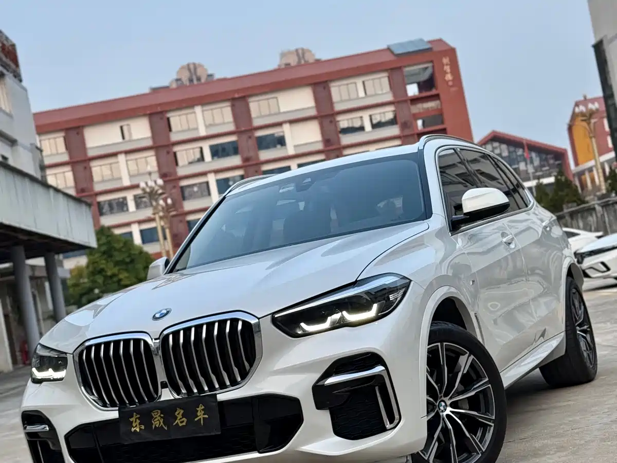 BMW X5 2022 xDrive 30Li M Sport Package фото 2