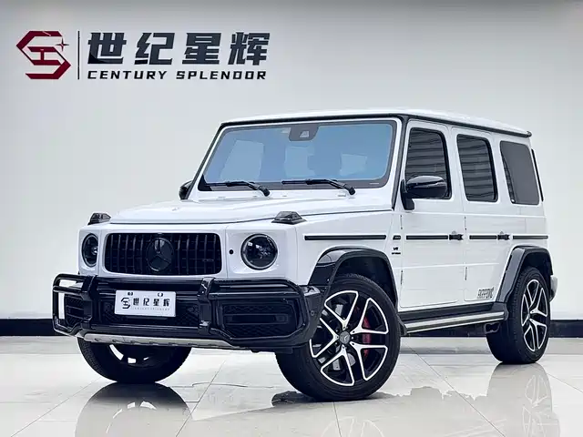 MERCEDES-BENZ G CLASS AMG