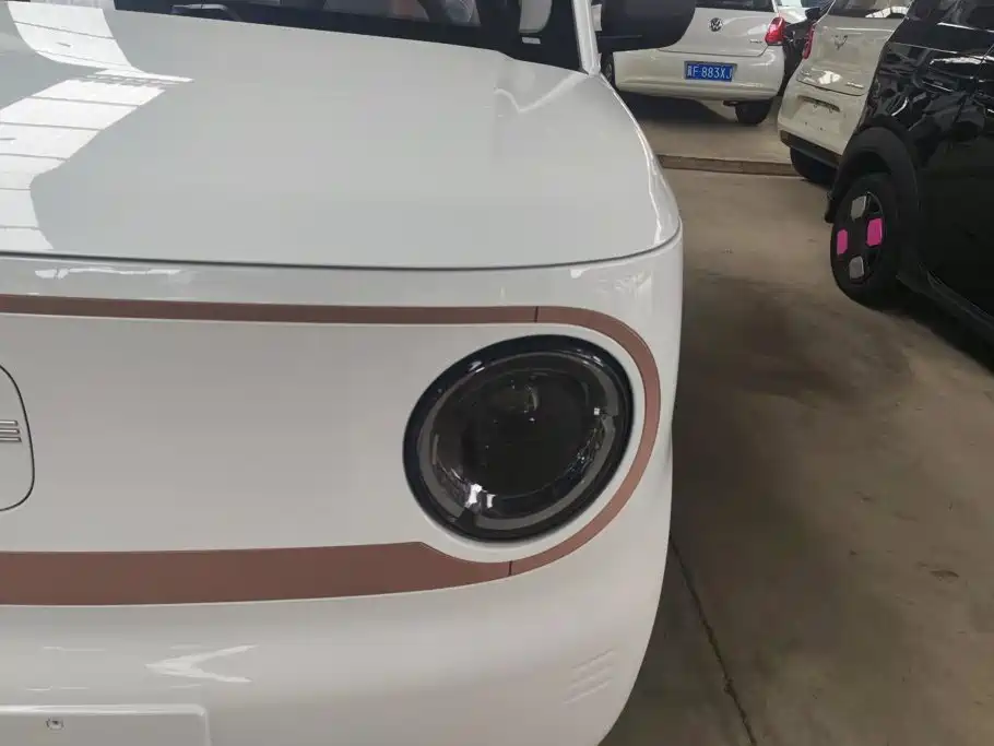 Geely Galaxy Panda 2026 2024 Panda mini 200km Endurance Bear