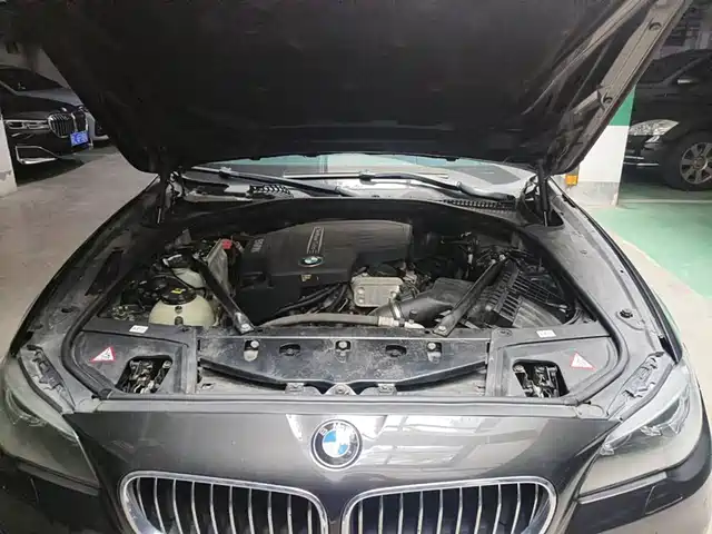 BMW 5 Series 2014 525Li Luxury Design Package — фото 3
