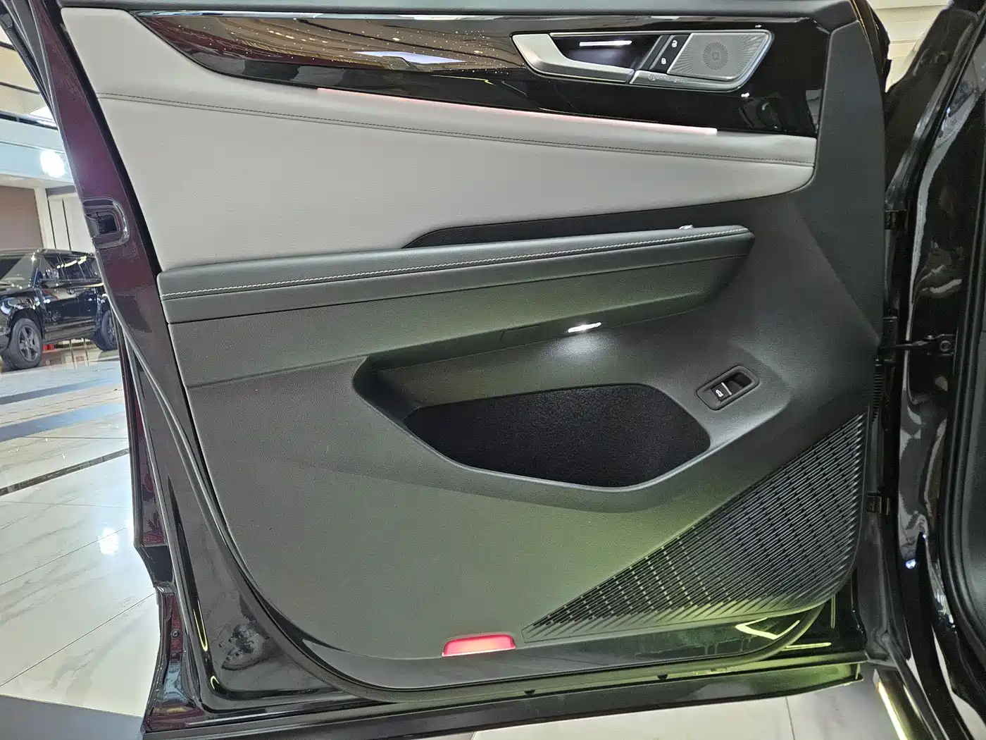 Volkswagen Teramont 2021 380TSI 4WD Premium Luxury Edition фото 5