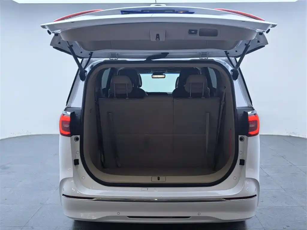 Buick GL8 2021 ES Landlord 653T Premium фото 22