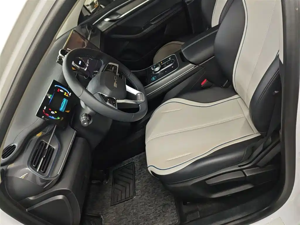 BYD Destroyer 05 2024 Glory Edition DM-i 55KM Luxury фото 15
