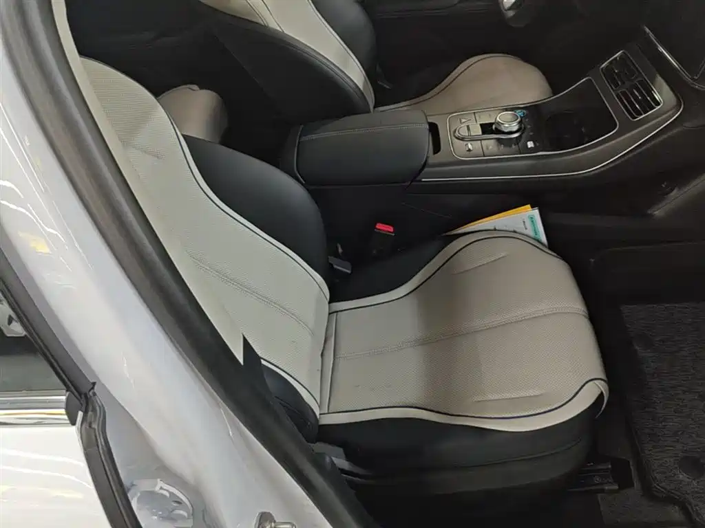 BYD Destroyer 05 2024 Glory Edition DM-i 55KM Luxury фото 25