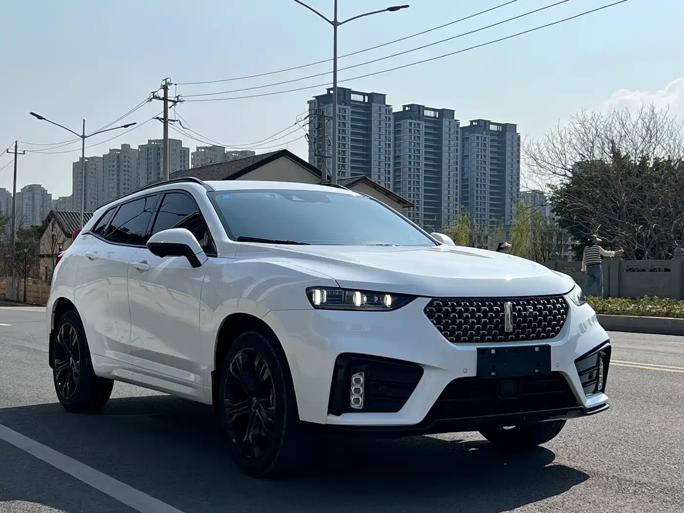 WEY VV7 2020 2020 Model 2.0T Flagship