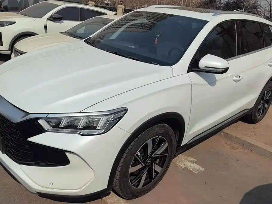 BYD SONGJIANG NEW ENERGY