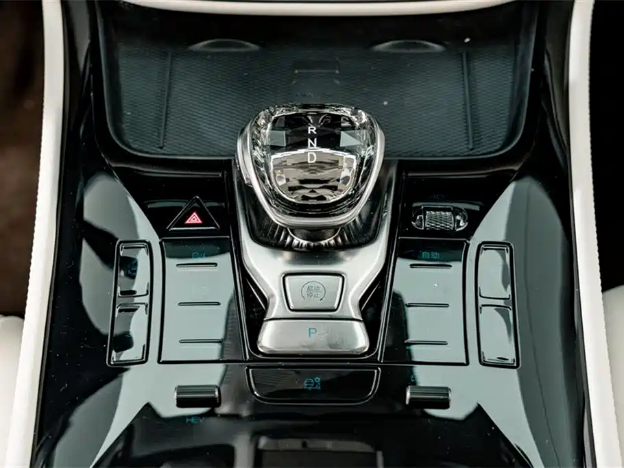 Denza D9 2024 DM-i 980 AWD Flagship фото 15