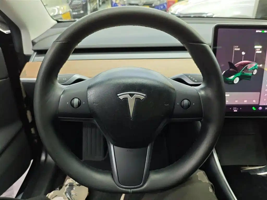 TESLA MODEL 3 (IMPORTED)