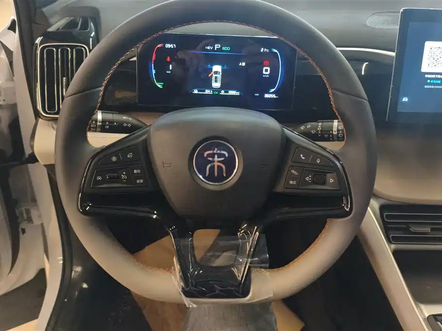 BYD Song Pro New Energy 2024 Glory Edition DM-i 71KM Leading фото 15