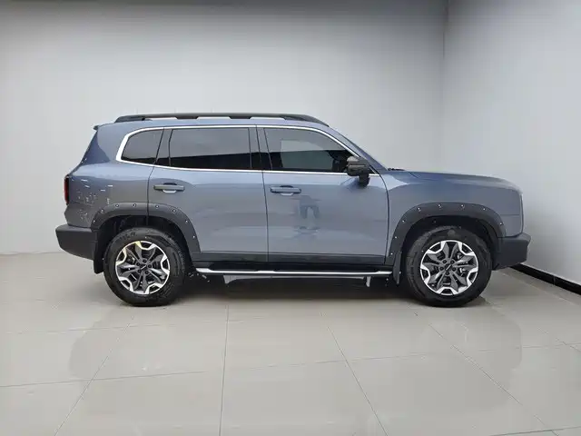 Haval Big Dog 2024 2.0T DCT Chinese Rural Dog Edition фото 3
