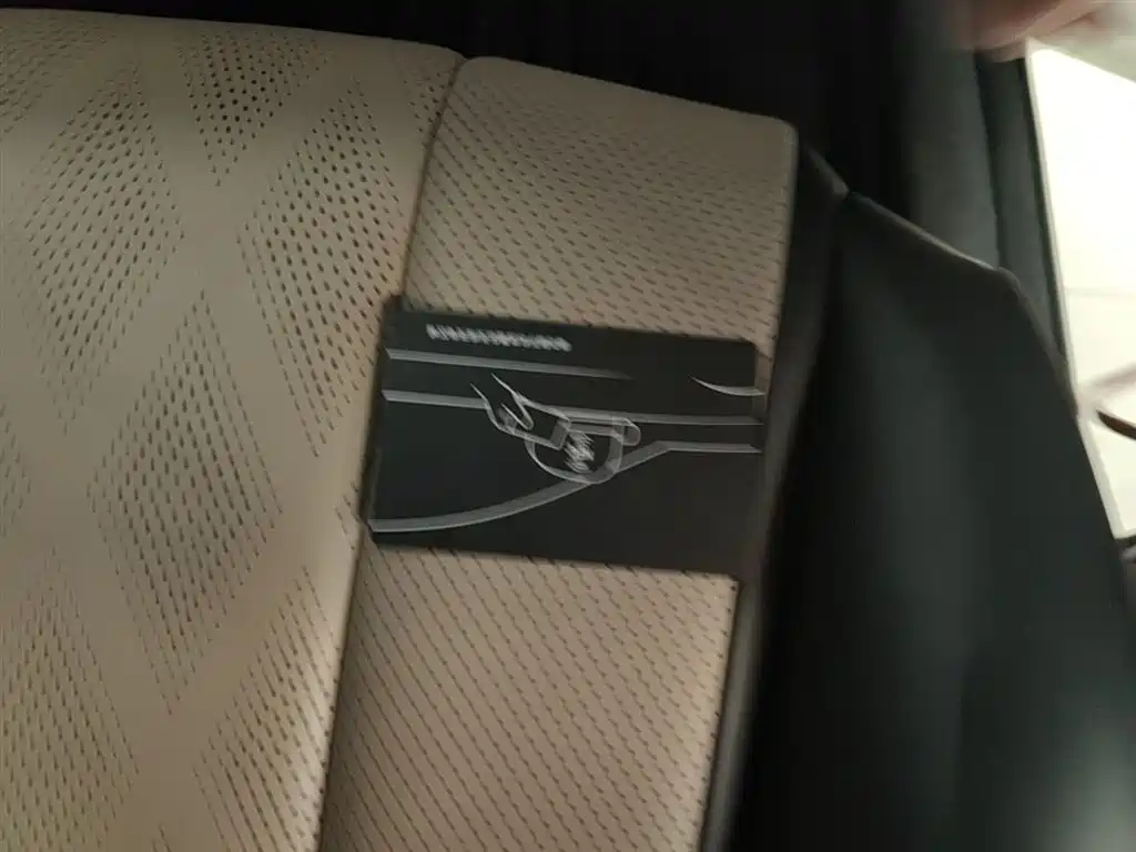 BYD Dolphin 2024 Glory Edition 420km Fashion Edition фото 9