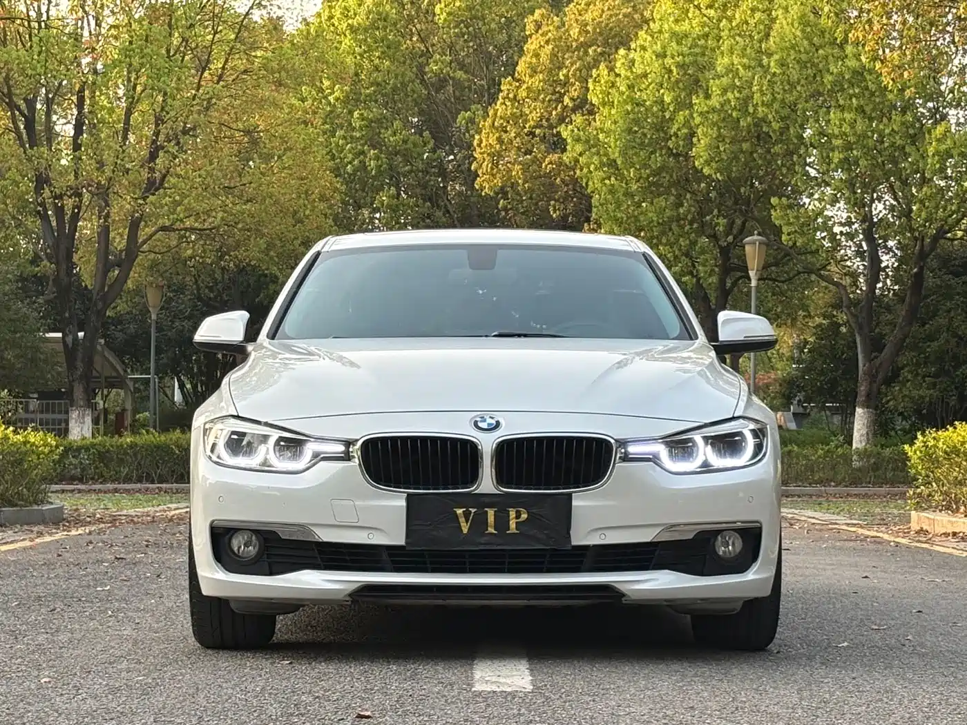 BMW 3 Series 2017 320Li Fashion фото 2