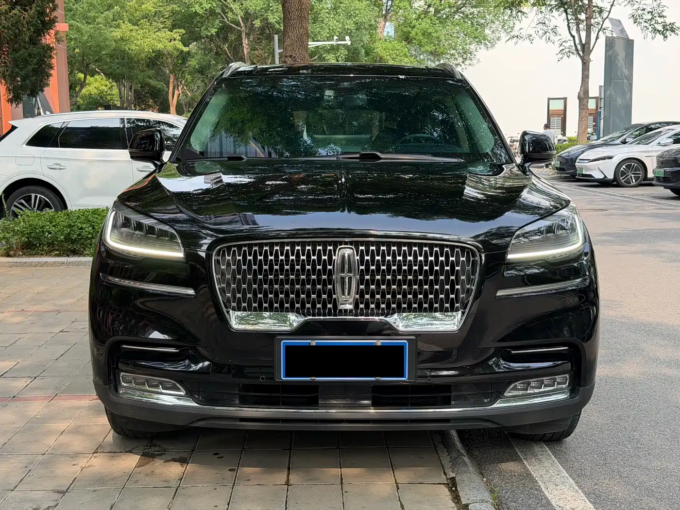 Lincoln Aviator 2020 2020 3.0T V6 4WD Premium Edition