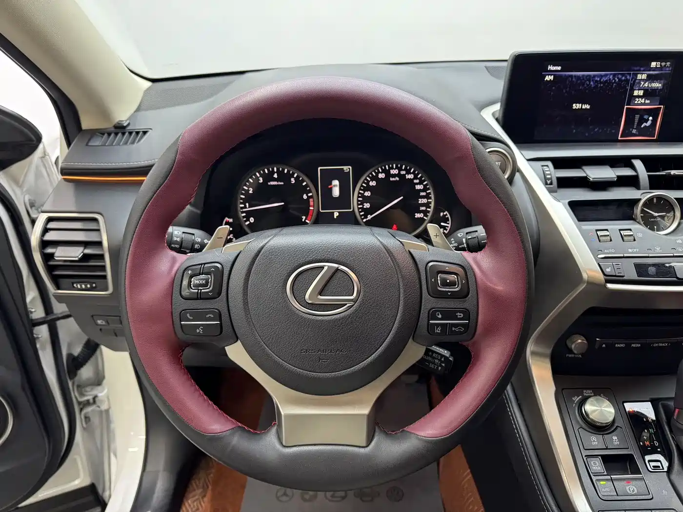 LEXUS NX