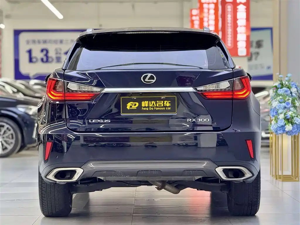 Lexus RX 2016 300 2WD Elite Edition (China V) фото 3